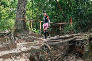 BIB: 
                            <button type="button" onclick="openModal(27801252)" class="btn btn-primary btn-sm float-right btn-popup" data-toggle="modal" data-target=".modal-high-quality">
                        <i class="fas fa-shopping-cart"></i> Add to Cart
                    </button>
                                            <button type="button" onclick="isThisMe(27801252, true)" class="btn btn-success btn-sm float-right btn-popup btn-isme hidden" data-toggle="tooltip" data-placement="bottom" title="นี่คือรูปของคุณใช่ไหม คลิกที่นี่เพื่อเอาเข้าอัลบั้ม">
                        <i class="fas fa-plus"></i> Add to album
                    </button>
                    <button type="button" onclick="isThisMe(27801252, false)" class="btn btn-warning btn-sm float-right btn-popup btn-isnotme hidden">
                        <i class="fas fa-ban"></i> Remove from album
                    </button>